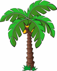 Website15